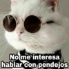 No me interesa hablar con pendejos