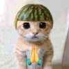 Gatito_depie 6