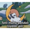 Iyi geceler 💛 11