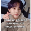Nose 29