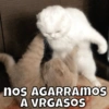 Michitos🐱💕 12