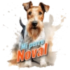 Mi perro Noval
