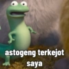 Tom lizard/kadal plenger 15