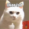Cute cat sticker 🐈 5