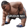 SRUDUK NIH..