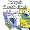 No soy de Alvarado sino de Jalapa, osea jalaspito.