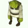 MEMES 1.5 5