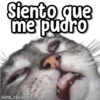 Siento que
me pudro
kane_stickers