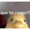que foi caraio?!