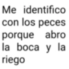 Me identifico con los peces porque abro la boca y la riego