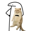 Kucing plenger reaction  13