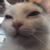 De S Ƭ I C K Σ R S 14