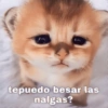 tepuedo besar las nalgas?