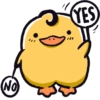 No YES