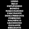 LINDO
BELO
ESPLÊNDIDO
BONITO
MARAVILHOSO
FASCINANTE
DESLUMBRANTE
FORMOSO
MAGNÍFICO
GRANDIOSO
ELEGANTE
BRILHANTE