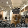 Pal gym 🏋🏻‍♂️ 8