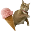 Meme Kucing Lempar 😾 6