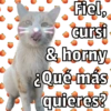 🐱🐾Mishis Para Tu Crush II💘😻  14