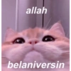 allah @ananizimiyavladm belaniversin