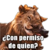 ¿Con permiso de quien?