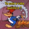 Pica pau memes  13