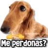 @rose.stickers1 Me perdonas?