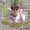 HARUS SETRONG BESTIEH