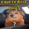Xingamentos 🤬😤 15