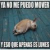 🤣Los Necesitas {Memes}😂 10
