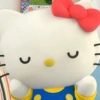 ⩉⩉ . 🌿 ࣪ 𓂃 ✸ KiTTY ،، 𖥻  13