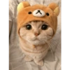 Gatitos 2🐈❤️ 10