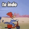 to indo