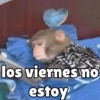 Viernes y el cuerpo lo sabe 😎 8