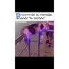 Los gatos y nekos 19