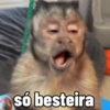 Asó besteira