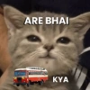 ARE BHAI KYA