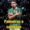 Palmeiras  12