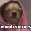 Viernes y el cuerpo lo sabe 😎 9