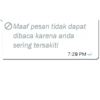Maaf pesan tidak dapat dibaca karena anda sering tersakiti 7:29 PM