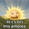 Michis caóticos ⚡😼⚡ 11