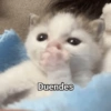 Duendes