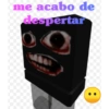 Roblox bear alpha 13