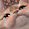 Máxima ternura 💕 5