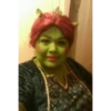 Memes Shrek 😎 17