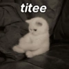 Gatitos Memes😺✨💕9 14