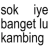 sok iye banget lu kambing