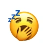 Emoji iphone kocak 6