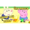 chingo a su madre Una mosca