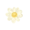 Nature Soft 10