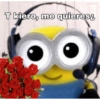 Minions 28